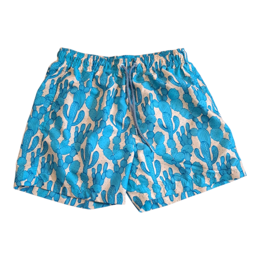 Mens Boardies Swim Trunks